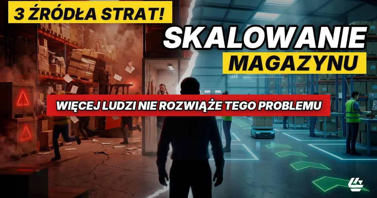 problemy w logistyce, straty w magazynie, skalowanie magazynu problemy - LOCURA